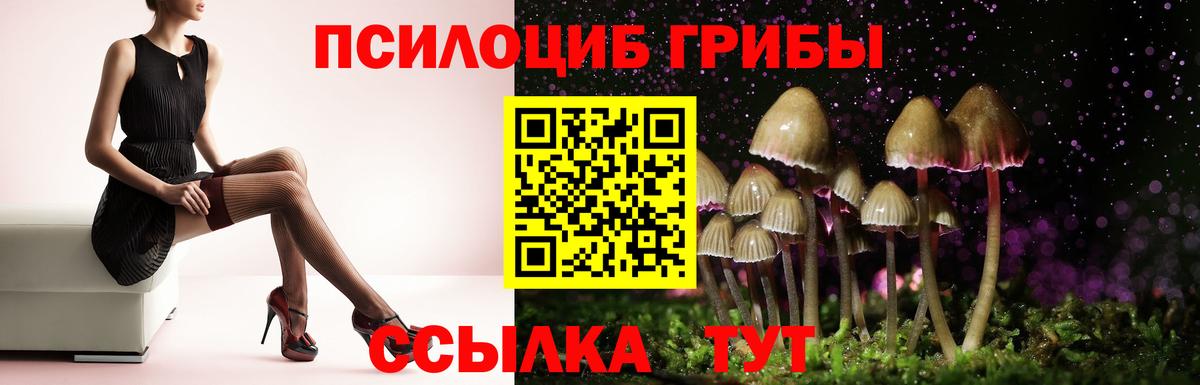 Киров  Галлюциногенные грибы Psilocybine cubensis  Вход с VPN 